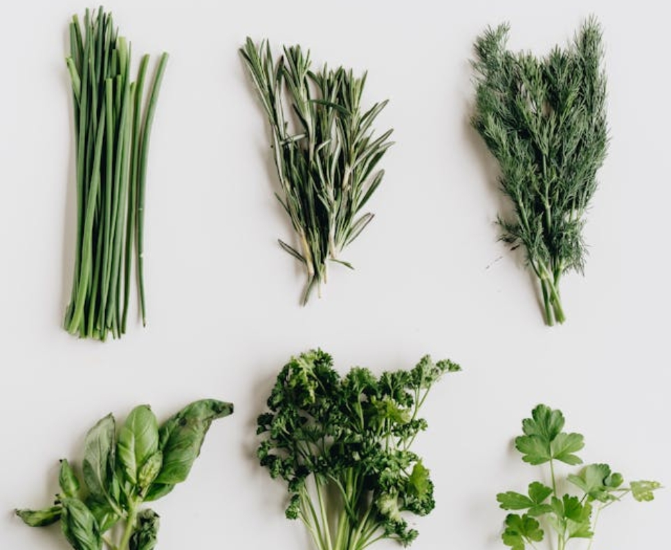 pexels-alleksana-4113898-2